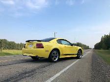2003 Mustang Mach 1