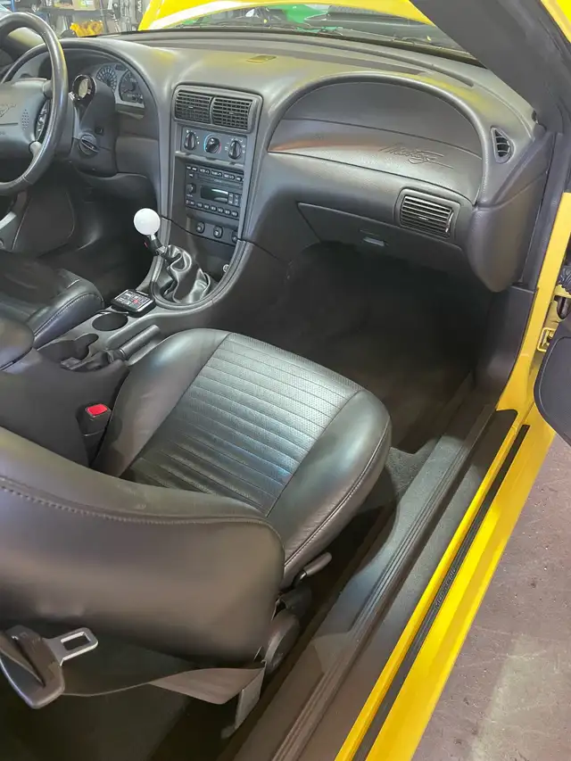 2003 Mustang Mach 1 - Photo 4