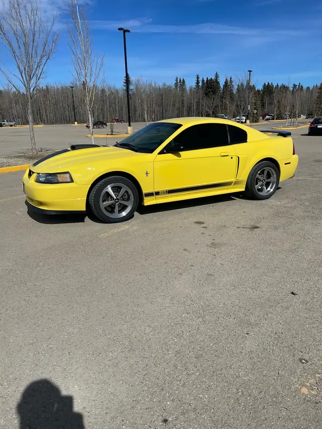 2003 Mustang Mach 1 - Photo 5