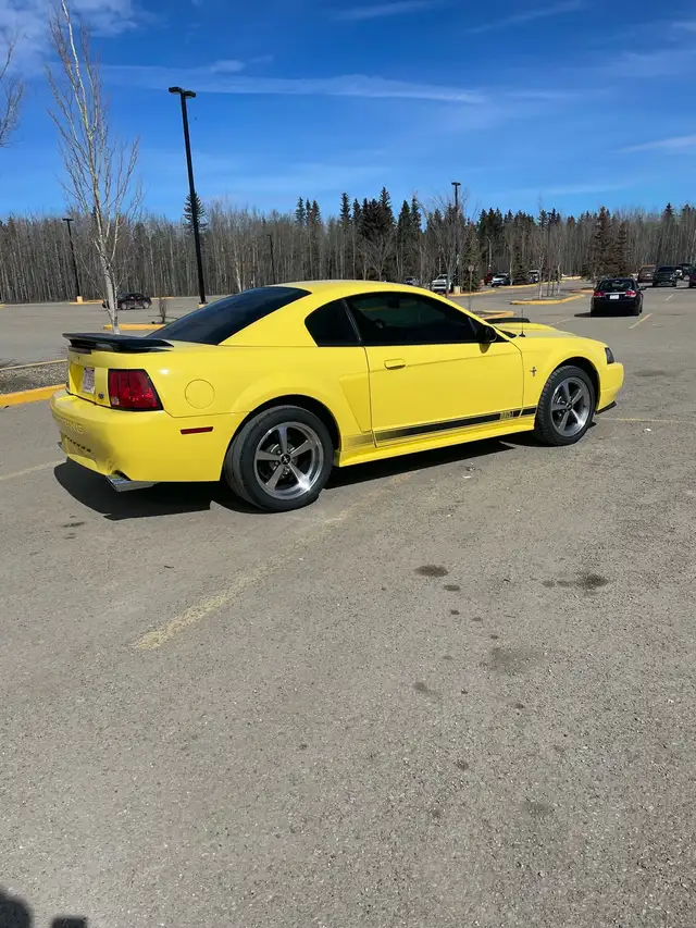 2003 Mustang Mach 1 - Photo 6