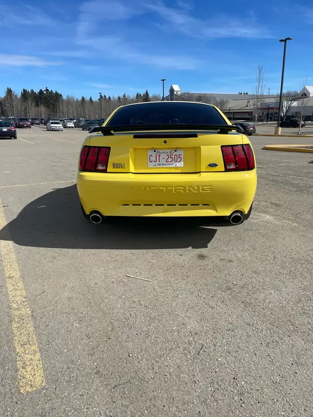 2003 Mustang Mach 1 - Photo 7