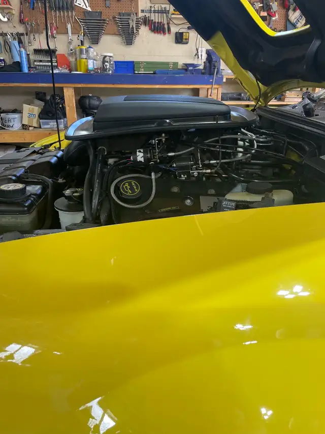 2003 Mustang Mach 1 - Photo 8