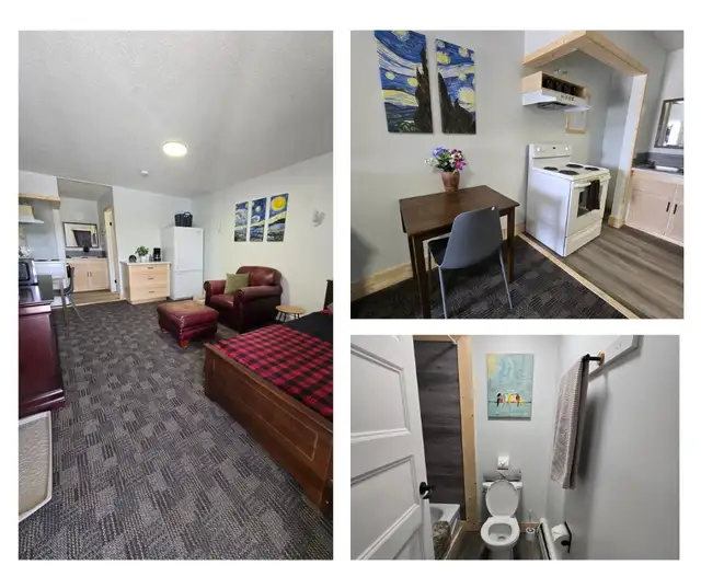 Furnished Studio Style Suite