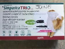dog flea, tick,  heartworm medication