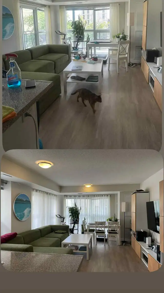 2 Sisters Cleaning Service – Reliable, Detailed & Affordable - Photo 10