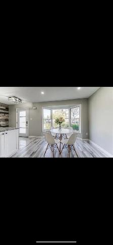 Beautiful 3 beds 1 bath house for rent!