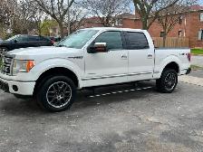2012 Ford F150 platinum ALL  option in good shape