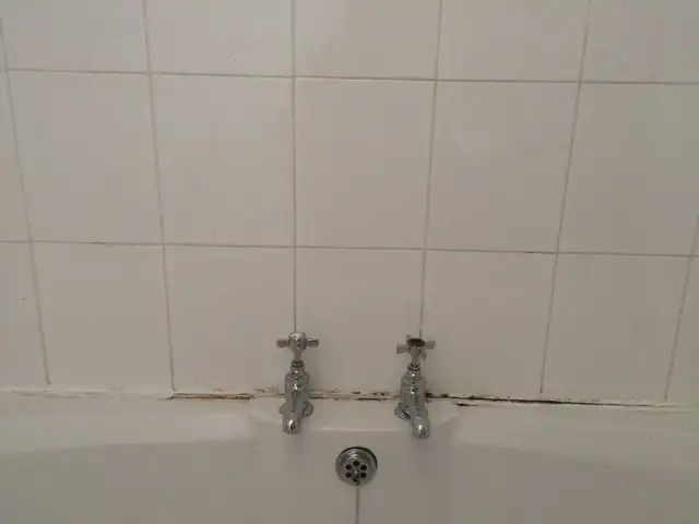 New Caulking For Showers&Bathtubs - Photo 6