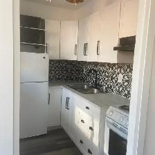 Bachelor Studio Apartment 30 Gloucester St. (Yonge Bloor area) - Photo 4