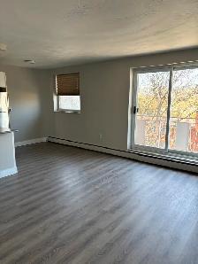 WESTDALE APARTMENT FOR RENT - Photo 3