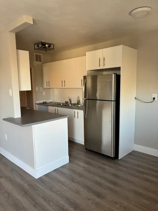 WESTDALE APARTMENT FOR RENT - Photo 5