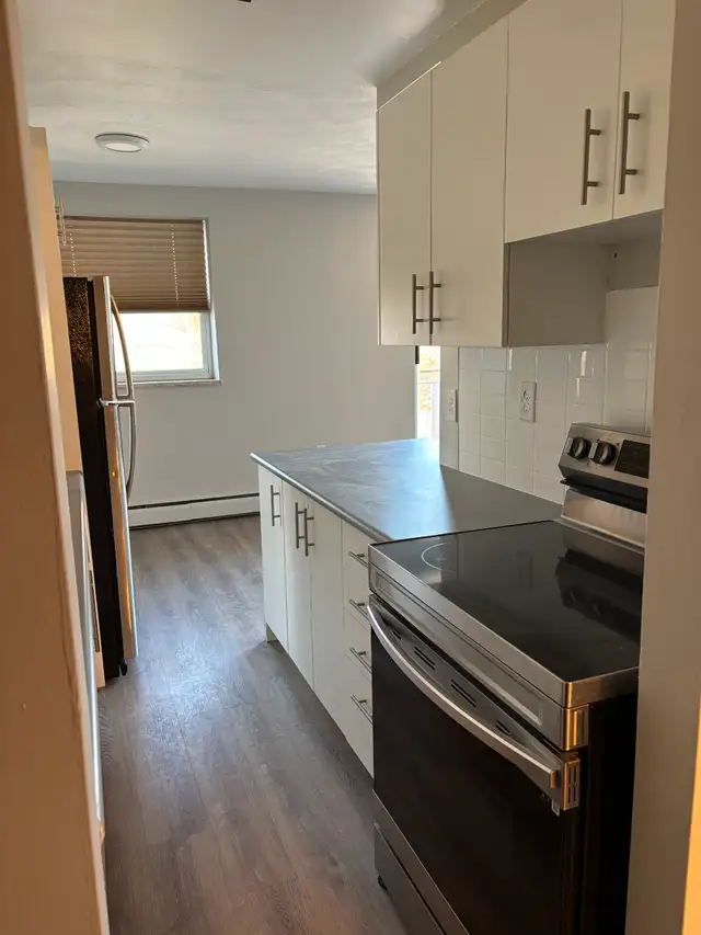 WESTDALE APARTMENT FOR RENT - Photo 6