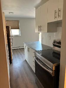WESTDALE APARTMENT FOR RENT - Photo 6