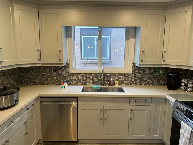 Kitchens, Laundry, Desks and Cabinets     QUARTZ - Photo 10