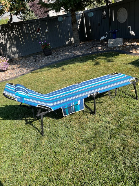 Lounge Chair (Folding) - Photo 3