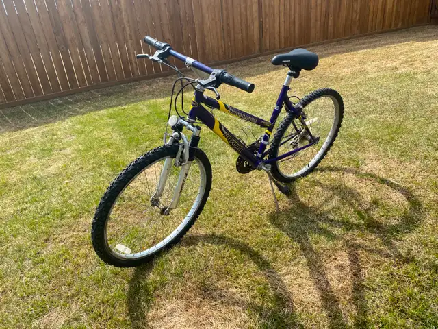 Ladies bike for sale