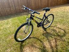 Ladies bike for sale