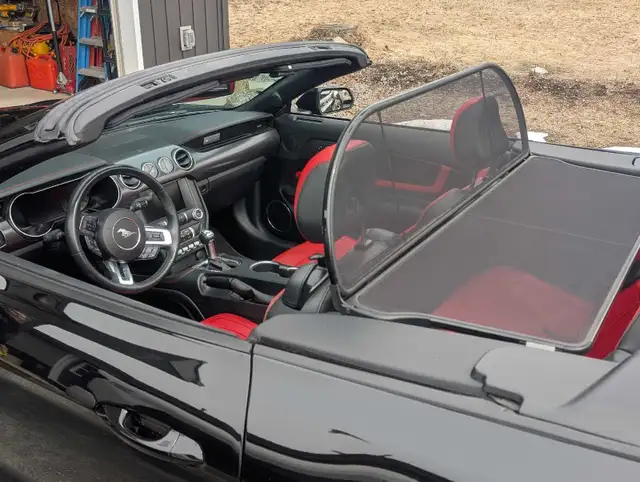 2021 Mustang GT convertible - Photo 3