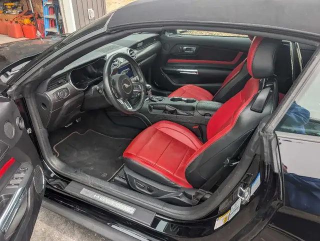 2021 Mustang GT convertible - Photo 4