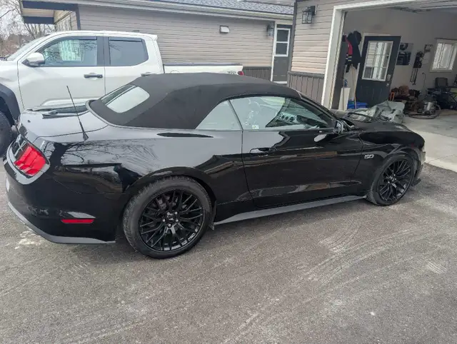 2021 Mustang GT convertible - Photo 6