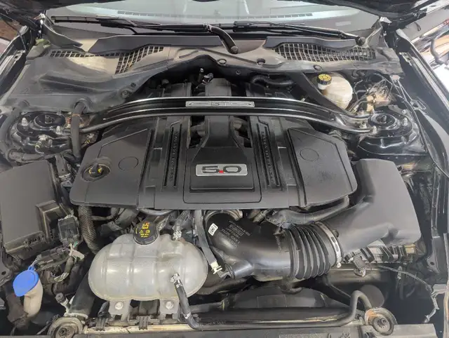 2021 Mustang GT convertible - Photo 7