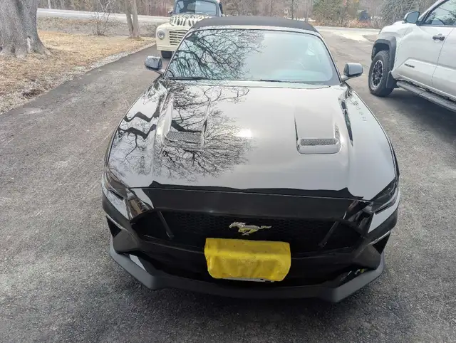 2021 Mustang GT convertible - Photo 8