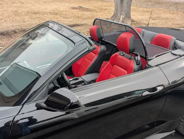 2021 Mustang GT convertible - Photo 9