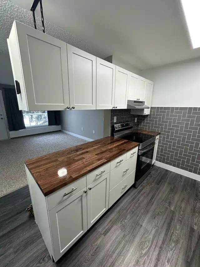 Adult Only 1-Bedroom Suite for Rent - Photo 3