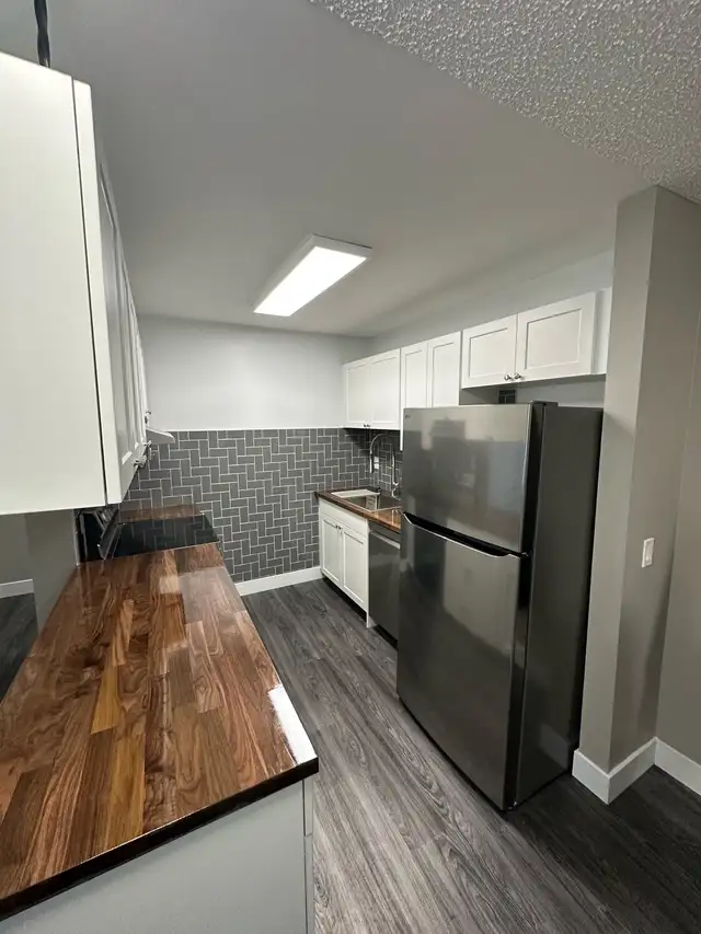Adult Only 1-Bedroom Suite for Rent - Photo 4