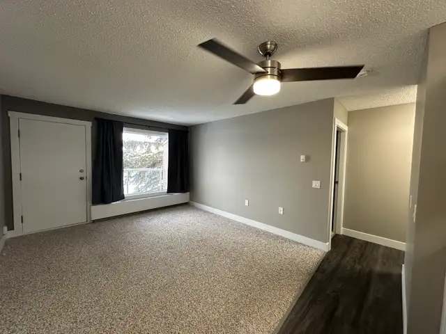 Adult Only 1-Bedroom Suite for Rent - Photo 5