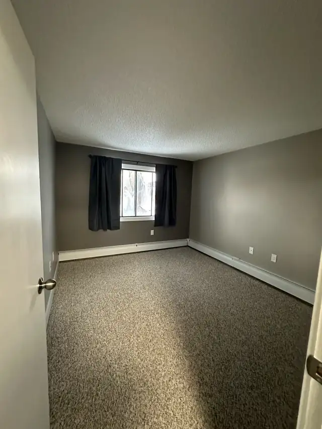 Adult Only 1-Bedroom Suite for Rent - Photo 7