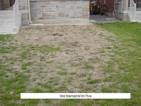 LAWN AERATING, FERTILIZER, Dethatching, Over Seeding,Topdressing - Photo 3