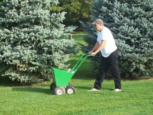 LAWN AERATING, FERTILIZER, Dethatching, Over Seeding,Topdressing - Photo 9