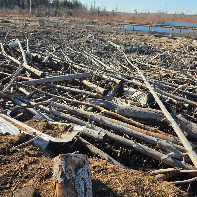 Uncut Firewood / logs - Photo 4