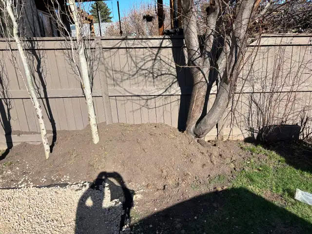 Free dirt. Nice dirt with a bit of grass sod.