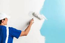 LOOKING FOR A PROFESSIONAL PAINTER - $25/CASH
