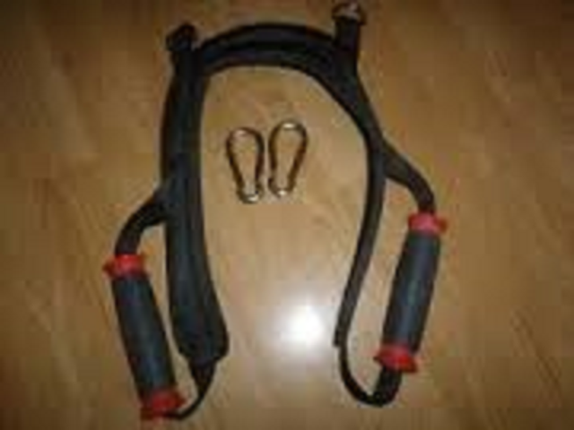 BowFleX Xtreme 2 Se with Ab Harness  gym weights exercise - Photo 3
