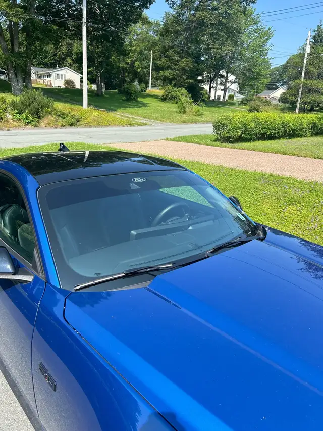 2024 Ford Mustang GT Premium Fastback - Photo 2
