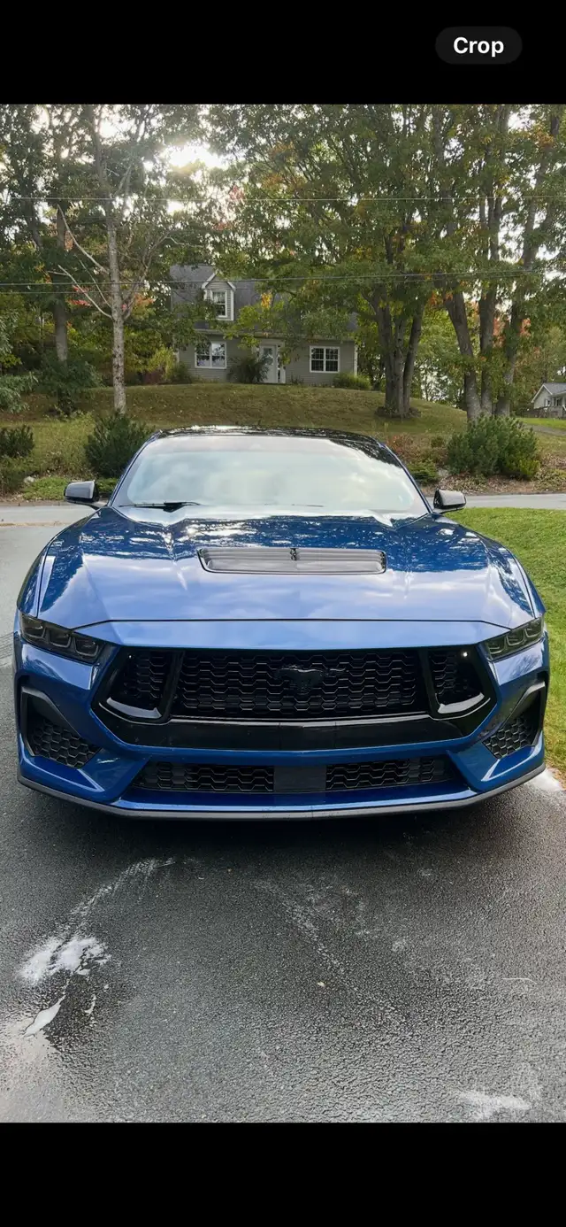 2024 Ford Mustang GT Premium Fastback - Photo 3