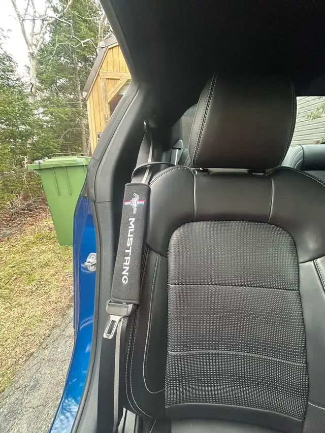 2024 Ford Mustang GT Premium Fastback - Photo 8