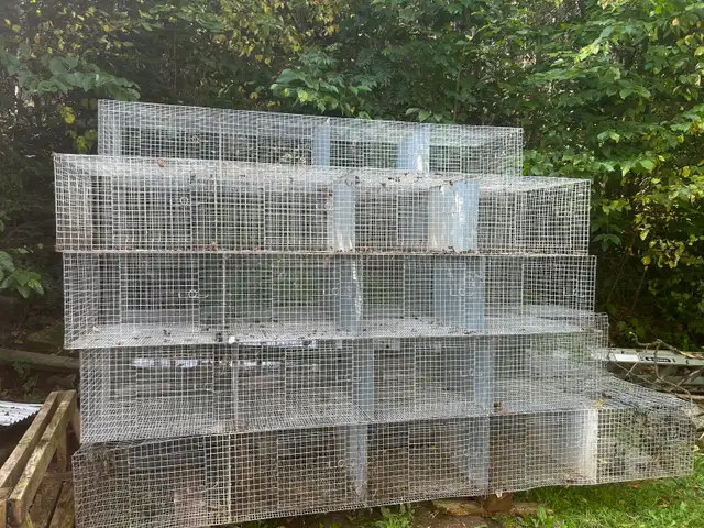Ensembles de cages pour élevage de lapins – solides et pratiques