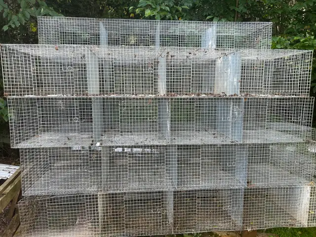 Ensembles de cages pour élevage de lapins – solides et pratiques - Photo 2
