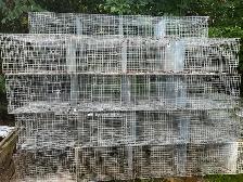Ensembles de cages pour élevage de lapins – solides et pratiques - Photo 2