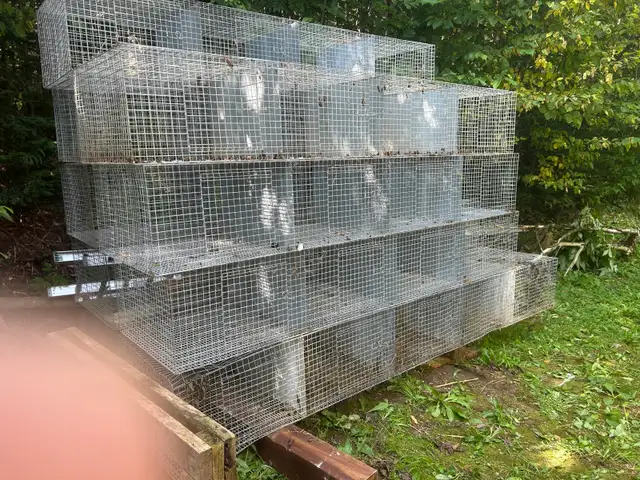 Ensembles de cages pour élevage de lapins – solides et pratiques - Photo 3