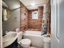 Chambre à louer / Room for rent /  m.St-Michel