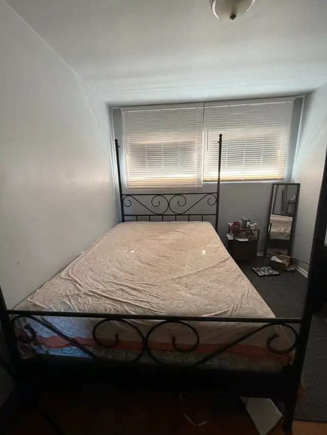Free Queen Sized Princess Frame   Mattress