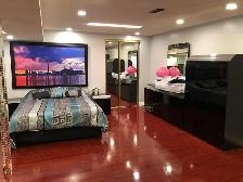 Open Concept Fully Furnished  Basement Apartment in Pickering - Photo 2
