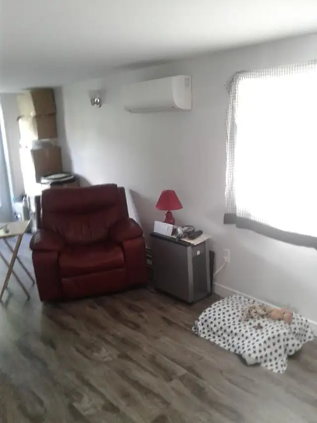 June 1st/July 1st   1 Bedroom Unit Downtown New Germany - Photo 5