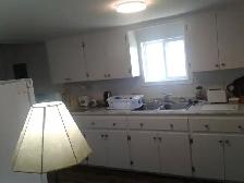 June 1st/July 1st   1 Bedroom Unit Downtown New Germany - Photo 9