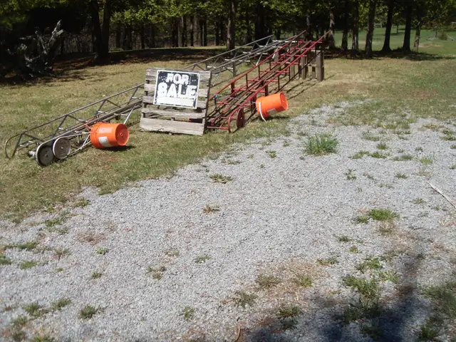 Hay elevators - Photo 2